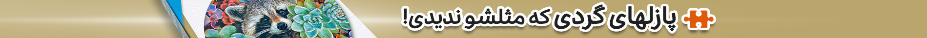 پازل گرد فنسی